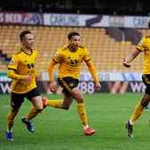 WOLVERHAMPTON, ENGLAND - APRIL 15: Dion Sanderson of Wolverhampton Wanderers celebrates scoring his team's first goal during the Premier League 2 match between Wolverhampton Wanderers U23 and Stoke City U23 at Molineux on April 15, 2019 in Wolverhampton, England. (Photo by Alex Burstow/Getty Images)