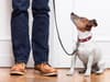 Dog owners in Birmingham could face £5k fine or jail time for using harnesses over collars for walks