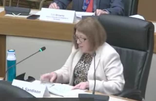 Cllr Angela Sandison speaks at the children, education and skills scrutiny board. Photo from Solihull Council webcast
