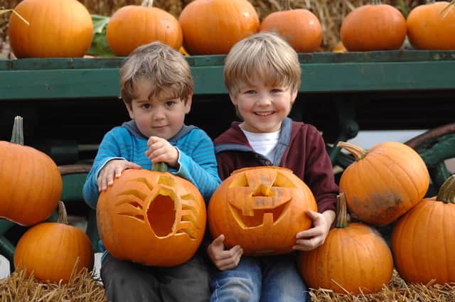 The Pumpkin Spooktacular week gets underway next month (Hatton Adventure World photo)