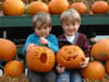 Pumpkin picking patches in and around Birmingham for Halloween 2022