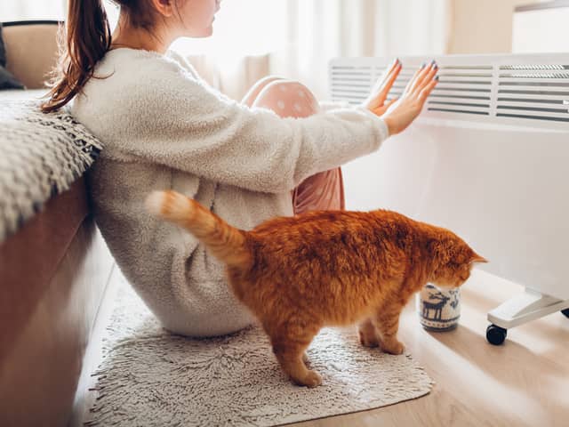 The best electric heaters for winter