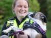  Watch: Police rescue puppy stolen in a Kings Norton burglary