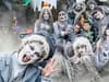 London-based half term holiday activities - days out at Alton Towers, Thorpe Park, Legoland and theatre shows