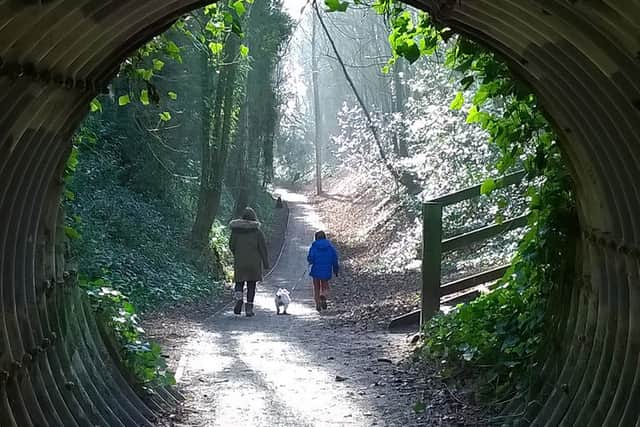 Harborne Walkway