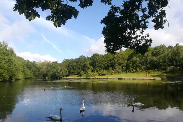 Sutton Park Pool