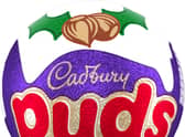 Cadbury Puds have returned after almost 20 years (image: Cadbury)