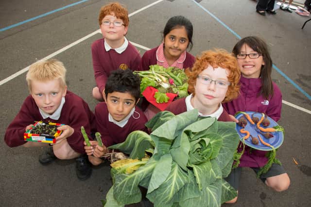Children at Harborne Primary School grow fruit and veg for a horticultural show with the help of Health for Life 