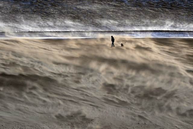 A person on a windy Tynemouth beach on the North East during Storm Malik on 29 January (image: PA)