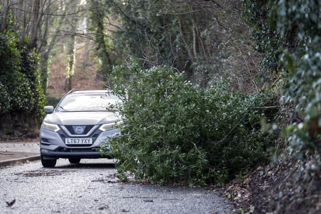 A fallen tree blocks a road in Woodlesford in West Yorkshire, as gusts of up to 80mph battered northern areas of the UK as Storm Malik swept in (image: PA)