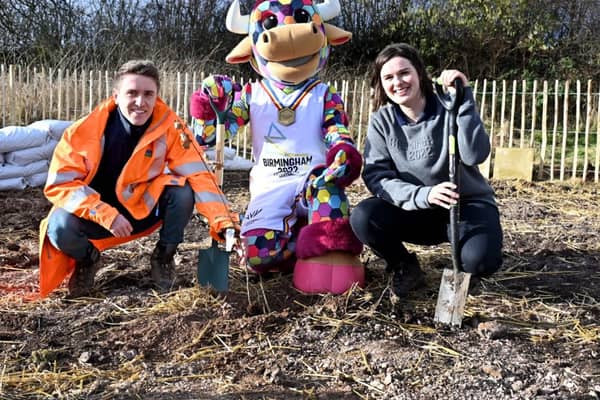 Over 10,000 trees have been planted in the West Midlands as part of the Tiny Trees Project