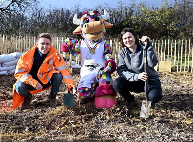 <p>Over 10,000 trees have been planted in the West Midlands as part of the Tiny Trees Project</p>