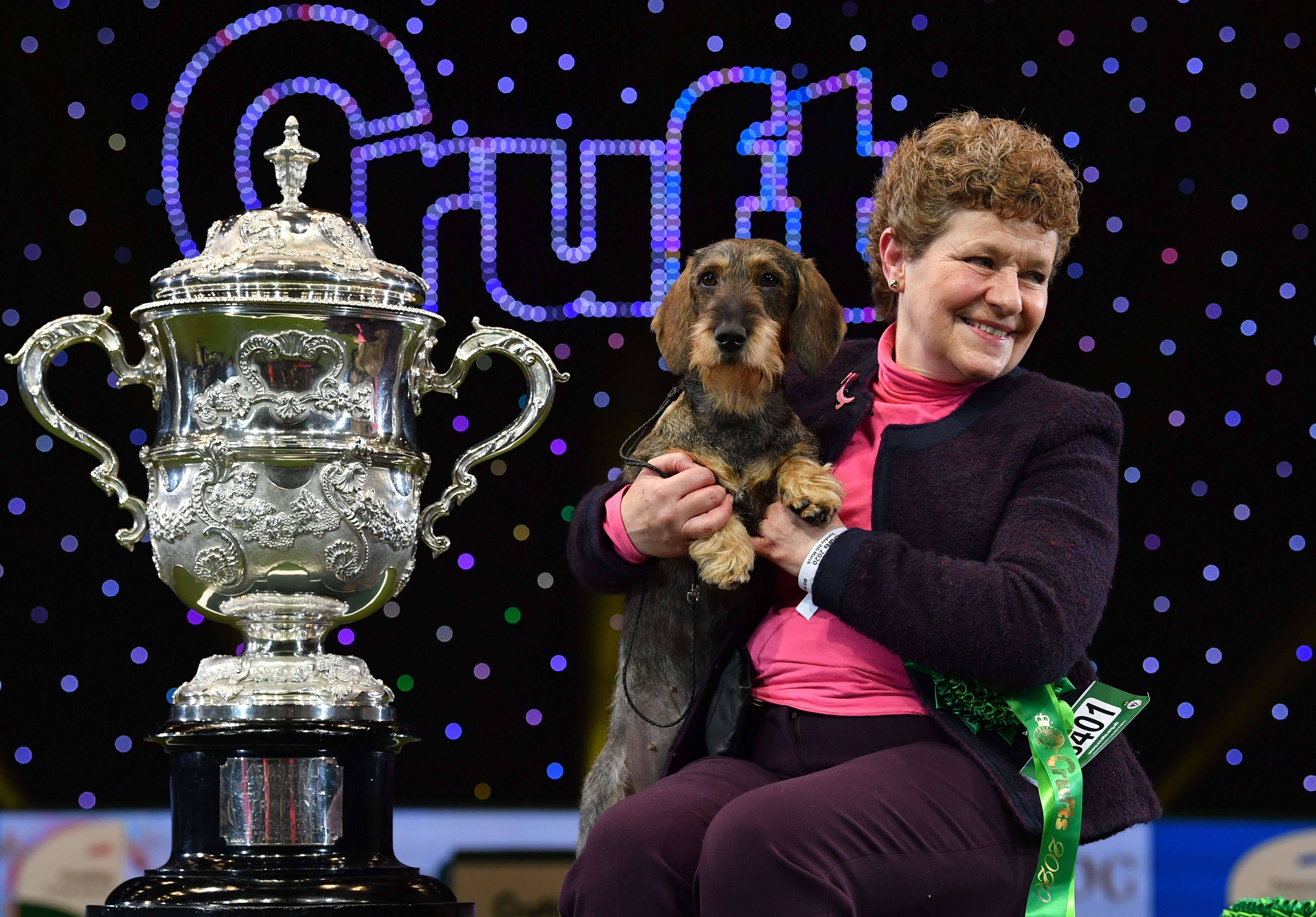 Crufts 2022: dates of Birmingham NEC dog show, how to get tickets, and what happened in 2018 incident?