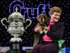 Crufts 2022: dates of Birmingham NEC dog show, how to get tickets, and what happened in 2018 incident?