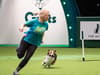 What happened at Crufts 2018? Incident after whippet won Best in Show at Birmingham NEC dog show explained