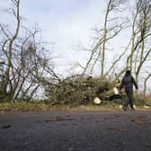 Fallen trees are seen on a road in Little Hay, north Birmingham as Storm Dudley struck the UK