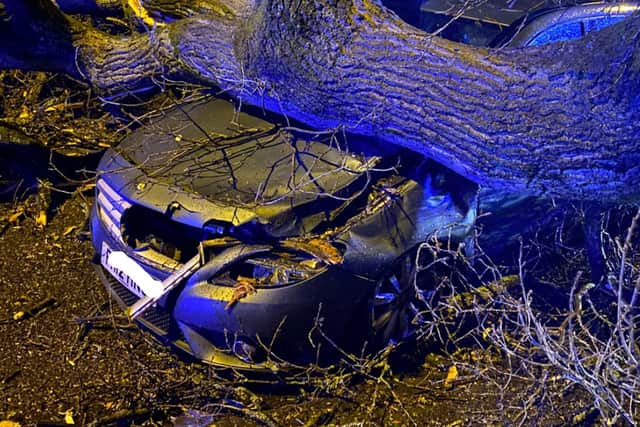 Two people got themselves out of this car after a tree fell on it in Sutton Coldfield on Sunday (20 February) 