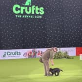 Behind the scenes ahead of the return of Crufts 2022