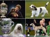Crufts 2022: dates of Birmingham NEC dog show, how to get tickets, event schedule, and when is it on TV?