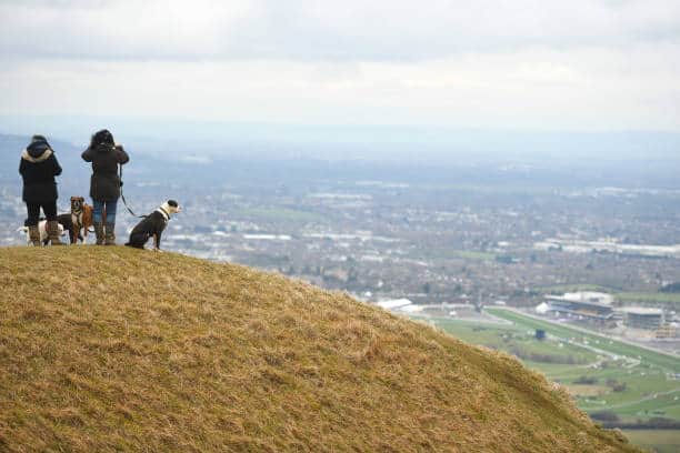 Members of the public look on from Cleeve Hill overlooking the ground during day four of the Cheltenham Festival last year. Picture: Harry Trump/Getty Images.