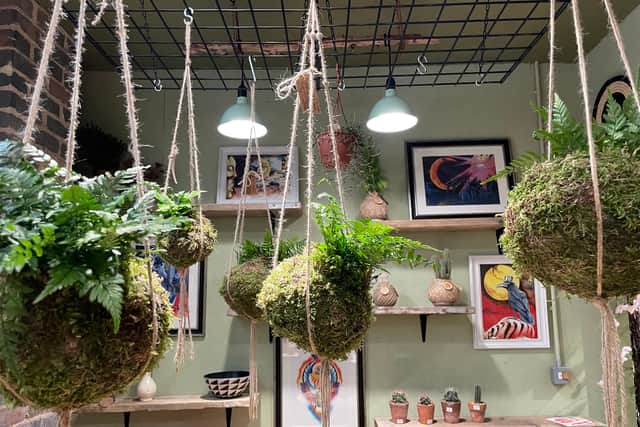Kokedama Plant, Moss Ball Workshop, will be available on the day 