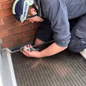 Dramatic pictures show a tabby cat being rescued after giving birth to a litter of kittens in the guttering of a Birmingham house