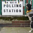 A dog waits for its owner as polling stations open across the country in the local elections on May 05, 2022