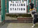 A dog waits for its owner as polling stations open across the country in the local elections on May 05, 2022
