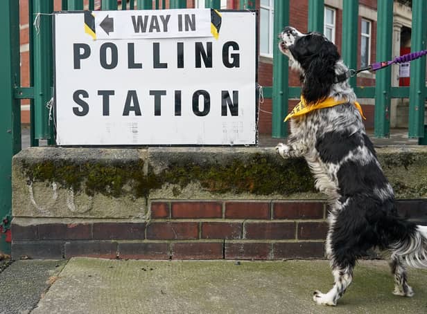 <p>A dog waits for its owner as polling stations open across the country in the local elections on May 05, 2022</p>
