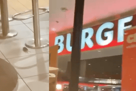 Mouse filmed in Burger King restaurant in the Bullring, Birmingham