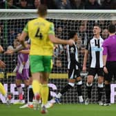 Ciaran Clark was sent off for Newcastle United during their 1-1 draw with Norwich City earlier in the season. 