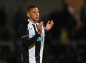Dwight Gayle once rejected a move to Bristol City, but could he be considered again? (Photo by Michael Regan/Getty Images)