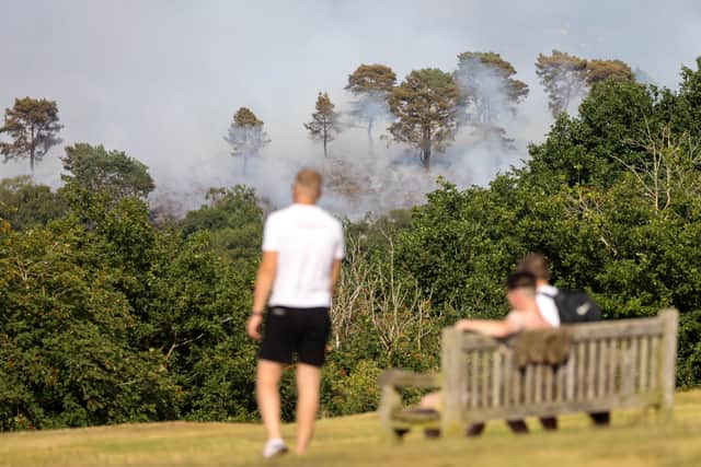 Fire breaks out at Lickey Hills Country Park during the heatwave