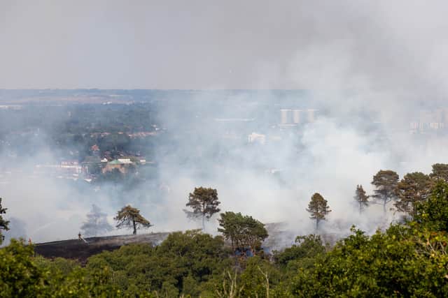 Fire breaks out at Lickey Hills Country Park during UK heatwave