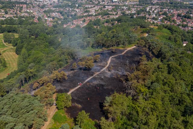 Lickey Hills Country Park after the fire during the heatwave