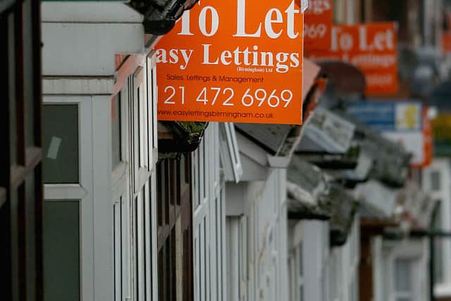  An array of To Let and For Sale signs protrude from houses in the Selly Oak area (Photo by Christopher Furlong/Getty Images)