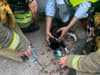 Fire fighters rescue scared & singed cat from Lozells house fire 