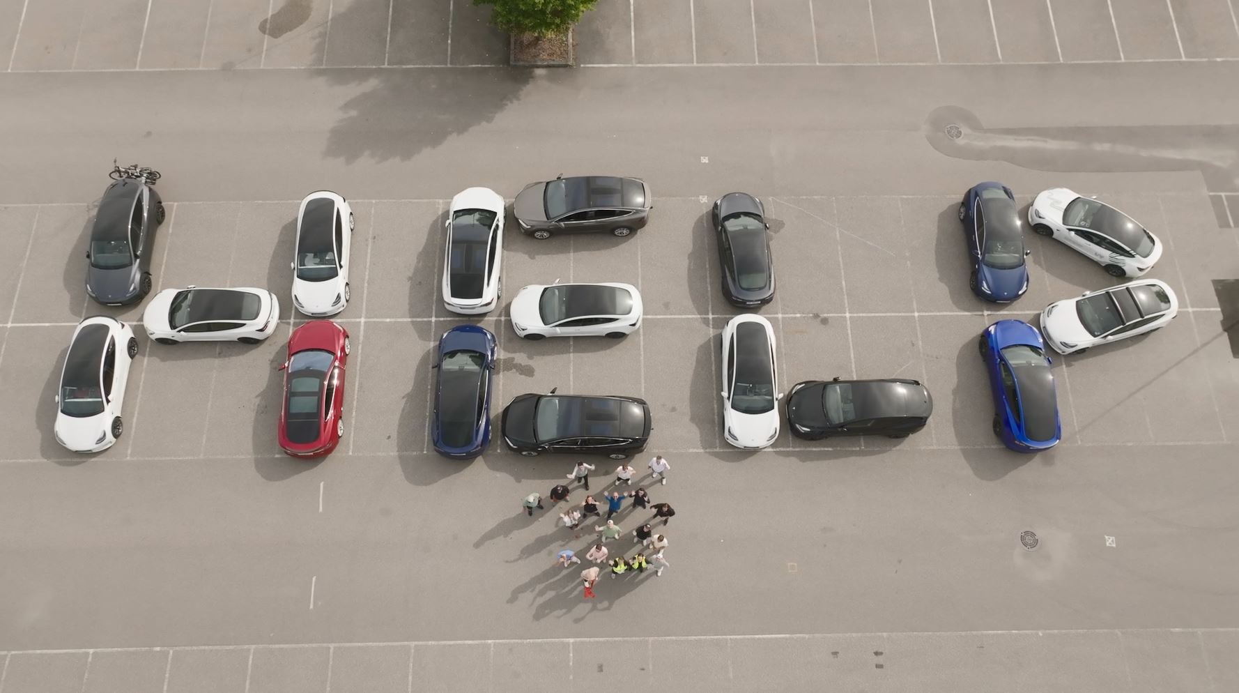 Tesla hunger strike: Norwegian owners plead for help from Elon Musk to fix list of faults with their cars