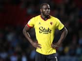Davis has featured sparingly for Watford