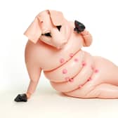 Saeborg, a latex pig to be featured at the Fierce Festival in Birmingham