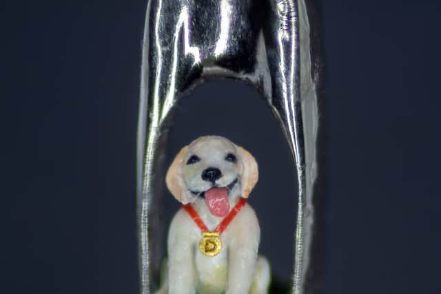 A handout photo issued by the charity Guide Dogs of a micro sculpture of guide dog puppy Daniel, sitting in the eye of a needle, created by micro sculptor Willard Wigan