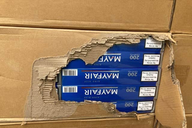 Biggest single haul of illegal cigarettes ever seized at Port of Hull after being tracked by a sniffer dog