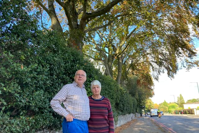 Paul and Vivian Orton stood in front of beech trees on Blossomfield Road. Source: Tom Cramp. Approved use