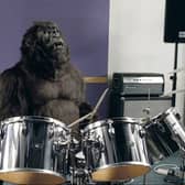 Cadbury TV ad with the drumming gorilla