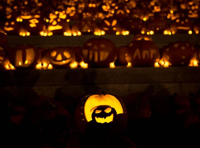 Are you feeling festive for spooky season in Birmingham?