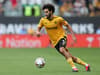 Wolves star makes national team decision in game time gamble - but will now miss World Cup