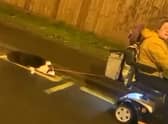 Harrowing footage showing a dog being dragged along a Birmingham road by a woman driving a mobility scooter has caused outrage online.