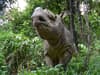 Sumatran rhino: Rare animal on brink of extinction could be saved by ‘creating sperm of a dead male’ from skin