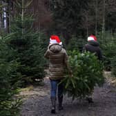 Will you be getting a real Christmas tree in 2022?