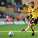Moutinho’s experience is always a bonus in midfield for Wolves.